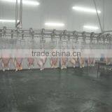 Poultry Cleaning Machine for Slaughterhouse