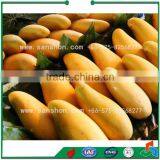 Roller Type Fruit Grader, Lichi Grading Machine, Potato Grading Machine thumbnail-5