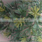 Artificial Podocarpus Tree Branch thumbnail-3