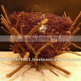 Snack Fern Natural Lamp thumbnail-1