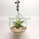 Hanging Glass Orb Ball Terrarium Ornaments thumbnail-1