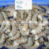 Black Tiger Shrimps Headless Shell On ( HLSO ) thumbnail-1