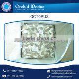 Premium Quality Boiled Octopus Flowered thumbnail-4