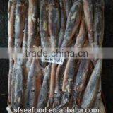 Frozen Argentina Illex Squid for Wholesale thumbnail-1