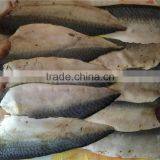 Frozen Mackerel Fish thumbnail-6