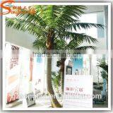 Songtao Fiberglass Artificial King Coconut Palm Tree Canada Artificial Plants Trees China Sale