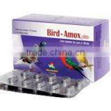 Bird - Amox Plus