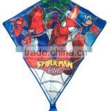 Top Quality Cheap Fashion Kite thumbnail-1