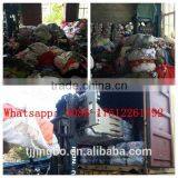 Used Clothes in Bales 07 thumbnail-1