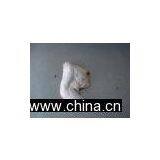 Hen Leg Quarters thumbnail-1