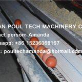 Rwanda Chicken Farm Hot Galvanized Cage & A Frame Battery Breeding Chicken Cage & Breeder Cage thumbnail-2