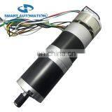 24 Volt or 12 Volt Brushless dc Planetary Gea Rmotor 20Nm 30Nm Otpion 75w 100w 150w thumbnail-4