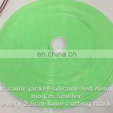 Factory Wholesale 12V 8*16mm 120led/m Silicone Tube Led Neon Flex Lamp thumbnail-1