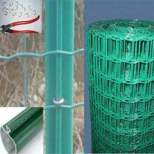 Holland Wire Mesh, Welded, PVC Coated, Used in Railway thumbnail-4