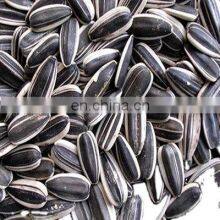 Wholesale Chinese Famous Brand Qiaqia Roasted Sunflower Seeds Sunflower Kernel Seeds Sunflower thumbnail-3