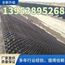 TGGS75-400HDPE Plastic Geogrid Room Large Government Project River Maintenance and Reinforcement thumbnail-1