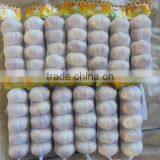 Jinxiang Vegetable Garlic Fresh Garlic Hot Sale Garlic Sales,garlic for New Market,garlic thumbnail-1