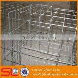 Aviary Wire Mesh for Hot Sale Factory Directly Price Galvanized