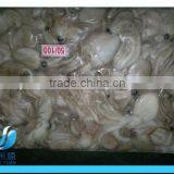 Fresh Frozen Baby Octopus thumbnail-3