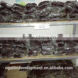 High Class Best Spice Madagascar Vanilla Bean thumbnail-4