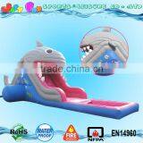 Commercial Grade Inflatable Water Slides, Whale Water Slide With Pool