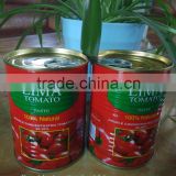 Tinned tomato paste with double concentrate brix 28-30%