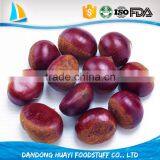 Bulk High Quality Fresh Green Dandong Chestnuts for Sale thumbnail-1