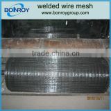 high quality galvanized welded wire mesh