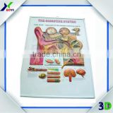 2015 3D PVC embossed medical poster