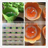 Outdoor Decotative Citronella Candles