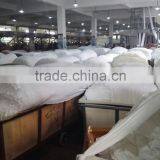 Grey or Printed Polyester Printed Fabric for Bed Sheet thumbnail-4