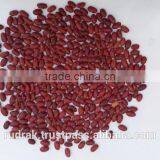 Long Shape Dark Red Kidney Beans thumbnail-1