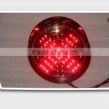 China Supplier 200mm Red Cross Green Arrow Car Washing Signal Light thumbnail-2