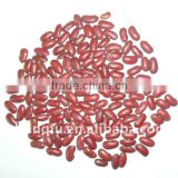 red kidney beans dongbei origin