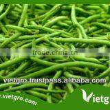 High Quality Fresh Organic French Beans VGFB001 thumbnail-1