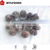 Chinese Hot Sale Best Quality Frozen Truffle Mushroom thumbnail-2