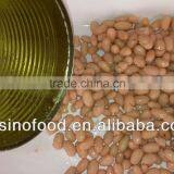Supply Canned White Kidney Beans in Brine High Quality thumbnail-1