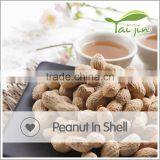 Pure Peanut in Shell thumbnail-6