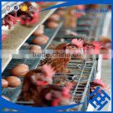 H Type Best Price Poultry Farm Egg Layer Chicken Cage thumbnail-3