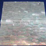 Laminate Donkey Ear Shell Veneer Sheet