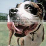 Mini Capacity Dog Feed Making Line thumbnail-5