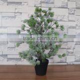 Plastic Mini Podocarpus Tree Bonsai thumbnail-2
