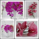 China wholesale factory price plastic flowers for home/room/office/hotel decoration artificial orchid