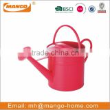 Colorful Large Capacity Metal Watering Can