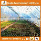 Heracles Trade Saaurance Good Quality uv Plastic Poly Tunnel Greenhouse for Sale thumbnail-6