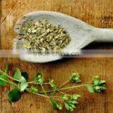 Oregano Oil thumbnail-3