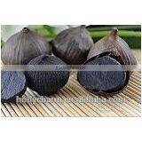 2016 Best-seller the Natural Green Organic Solo Blackgarlic From China thumbnail-1