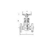 Flanged and forged gate valve