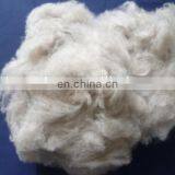 Carded and Dehaired Cashmere Fiber for India Market thumbnail-3