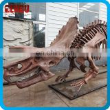 Playground Equipment Artificial Museum Quality Dinosaur Fossil
